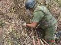 Acción contra las minas