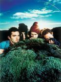 Sigur Ros en español