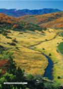 Hayedo de Tejera Negra. Valle del río Lillas (foto de José Luis Rodríguez)