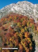 Parque Natural de Redes. El Campón (foto de José Luis Rodríguez)