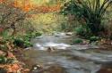 Río Tablizas (foto de José Luis Rodríguez)