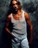 Blog de Iggy Pop sobre <i>Préliminaires</i>