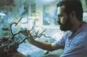 Página web del pintor Antonio Hervás Amezcua