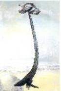 "Pájaro, cardo, piedra"