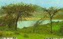 Paisaje característico de la zona central de Darfur