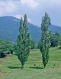 Cavalls del Vent. Travesía senderista por el PN del Cadí-Moixeró (por Isaac Fernández Sanvisens)