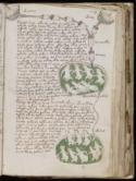 El “manuscrito Voynich” (blog de Juan Antonio González Fuentes)