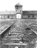 Vía de entrada al lager de Auschwitz