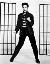 Elvis Presley en 1957 (fuente: wikipedia)