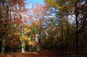 Couso (Moraña) - Bosque en otoño (foto propiedad de Eco-Viajes)