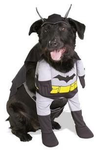 Perro disfrazado de Batman (foto recogida de la web cosadeperro.com)