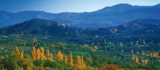 Valle del Alberche (foto de José Luis Rodríguez)