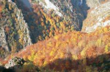 Las Cabriteras en otoño (foto de José Luis Rodríguez)