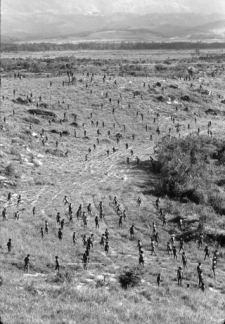 Escena de combate en Dead Birds (foto de Robert Gardner)