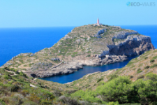 Panorámica del Faro de N’Ensiola en Cabrera (foto propiedad de Eco-Viajes)