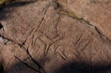 Petroglifos - Imagen cortesía del Parque Arqueolóxico da Arte Rupestre Campo Lameiro