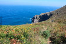 Punta Cueva Colina - Observatorio de Aves y Cetáceos (foto propiedad de Eco-Viajes)